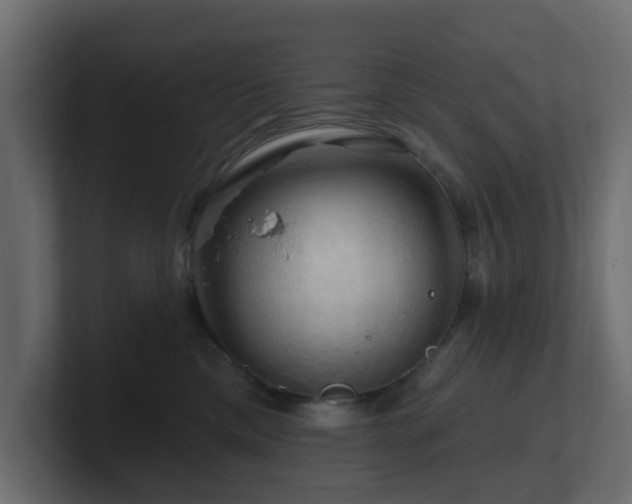 X0000101090425200806261455