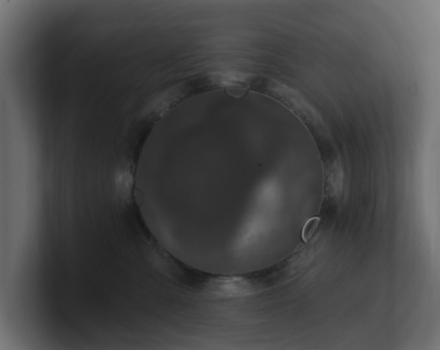 X0000101090427200806261455