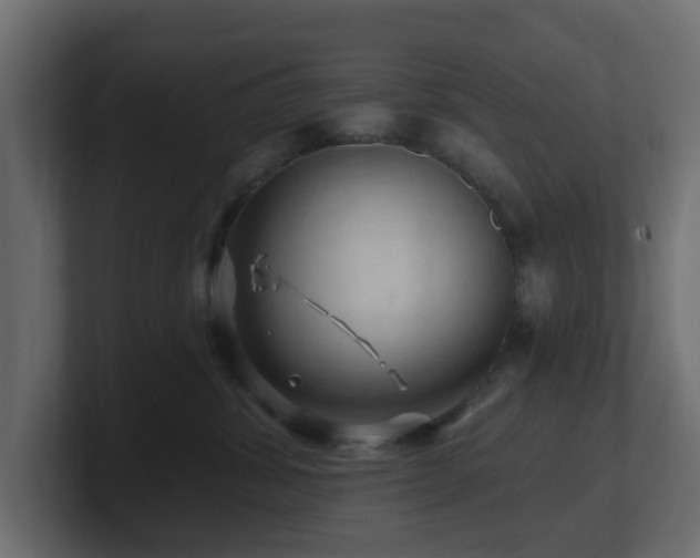 X0000101090428200806261455