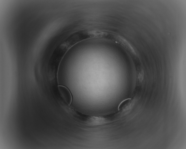 X0000101090429200806261455