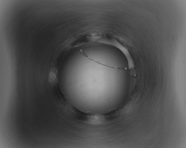 X0000101090432200806261455