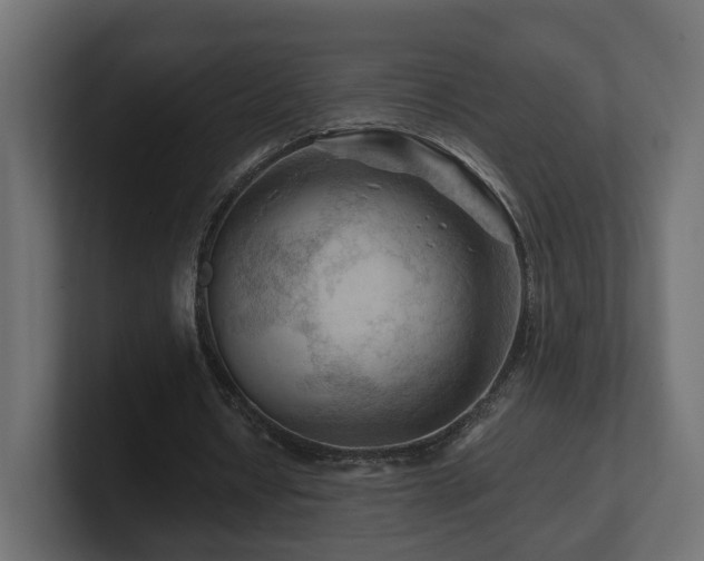 X0000101090434200806261454