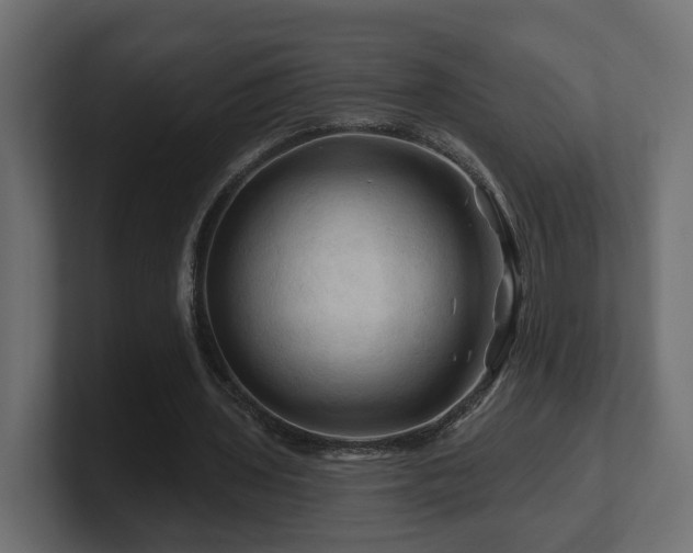 X0000101090435200806261454