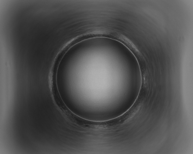 X0000101090436200806261454