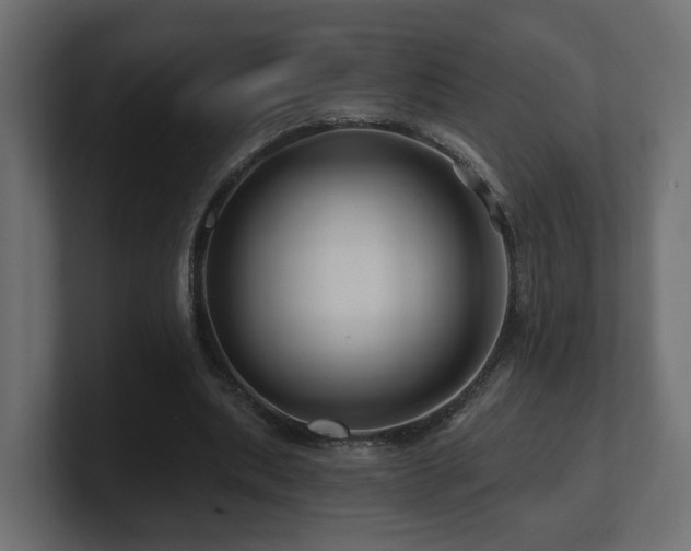 X0000101090439200806261455