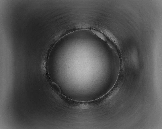 X0000101090441200806261455