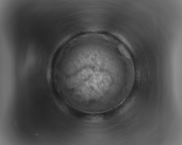 X0000101090443200806261455