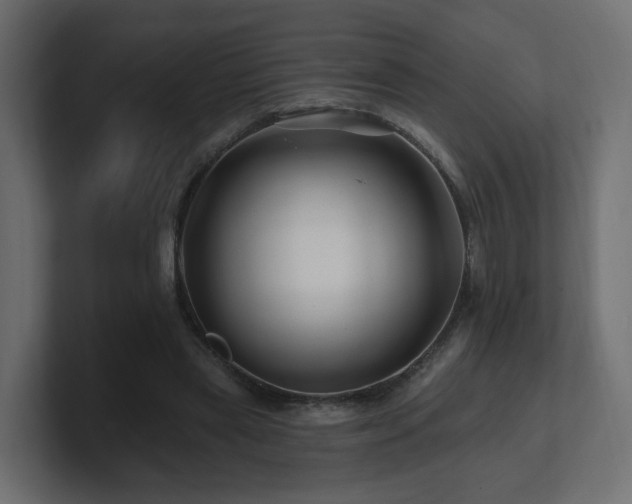 X0000101090445200806261455