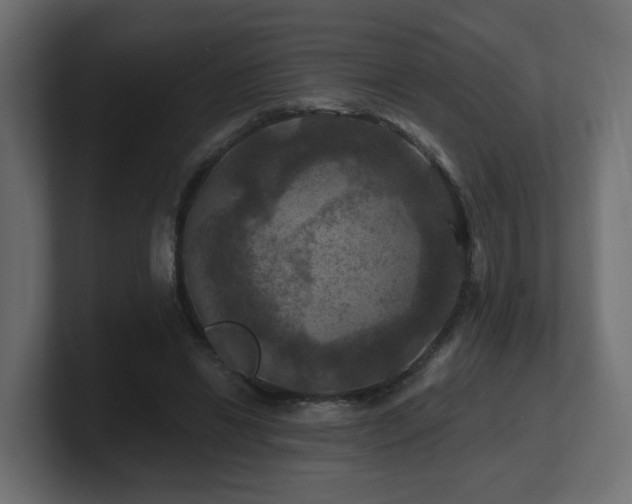 X0000101090446200806261455