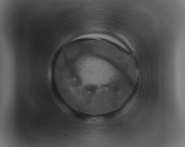 X0000101090447200806261455