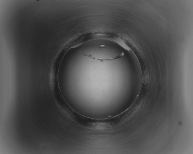 X0000101090448200806261455