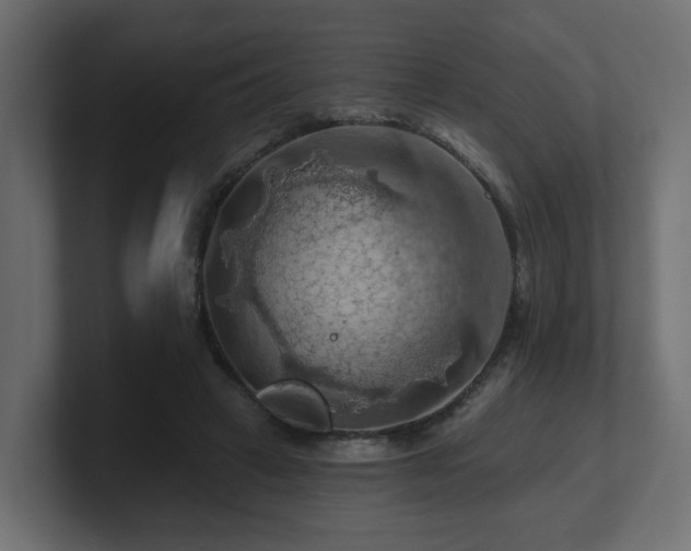 X0000101090449200806261455