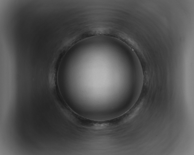 X0000101090450200806261455