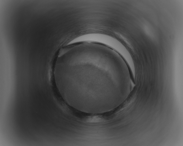 X0000101090451200806261455