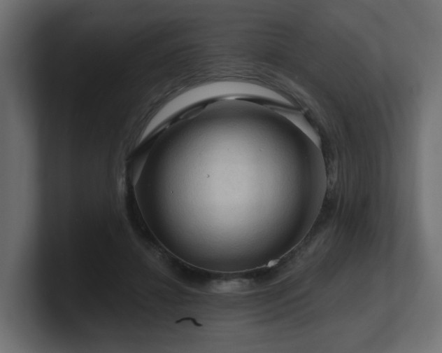 X0000101090452200806261455