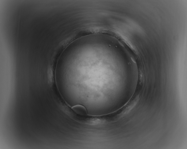 X0000101090453200806261455