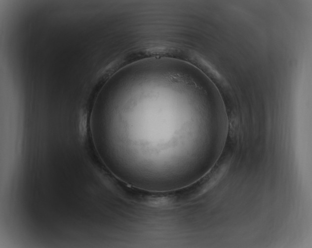 X0000101090454200806261455