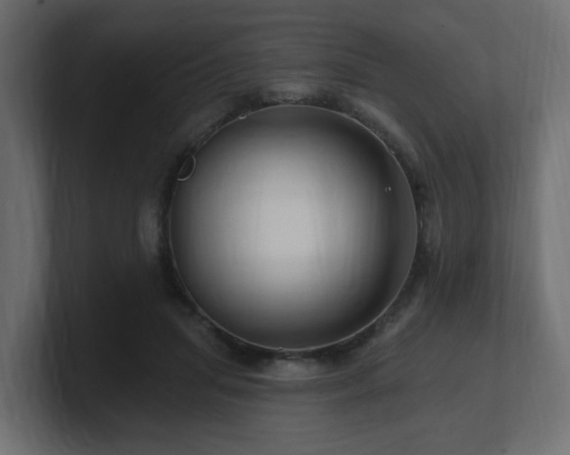 X0000101090455200806261455