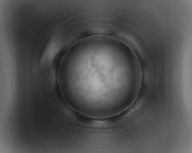 X0000101090457200806261455