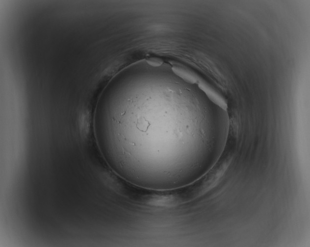 X0000101090458200806261455