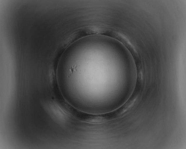 X0000101090459200806261455