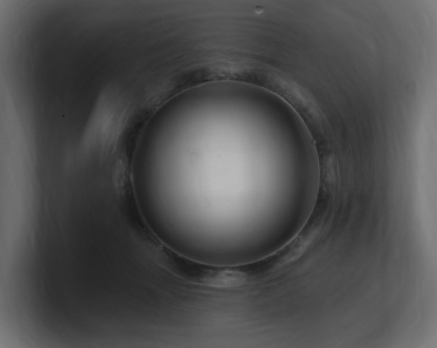 X0000101090463200806261455