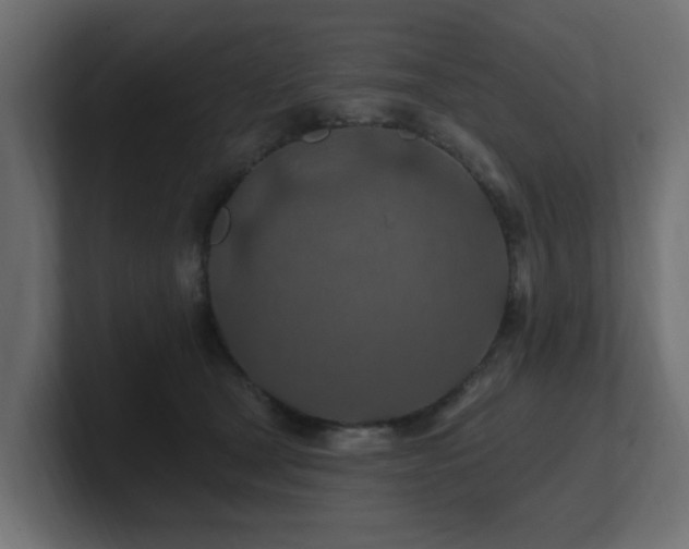 X0000101090465200806261455