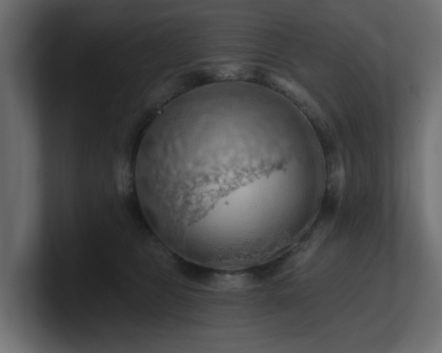 X0000101090469200806261455