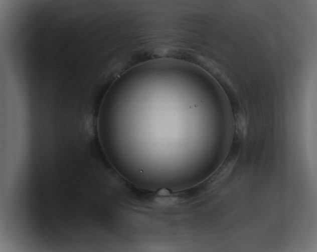 X0000101090470200806261455