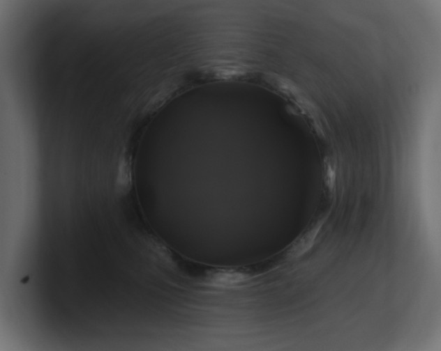 X0000101090471200806261455