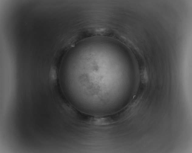 X0000101090472200806261455