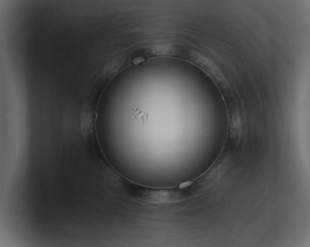 X0000101090473200806261455