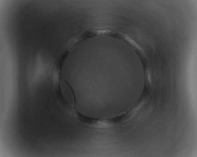 X0000101090475200806261455