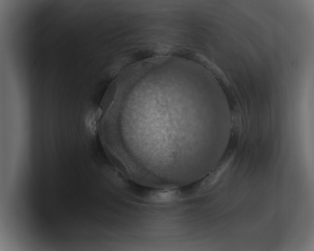 X0000101090479200806261455