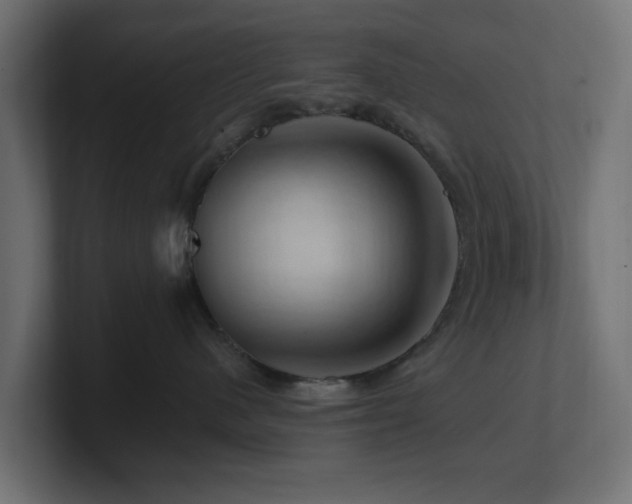 X0000101090480200806261455