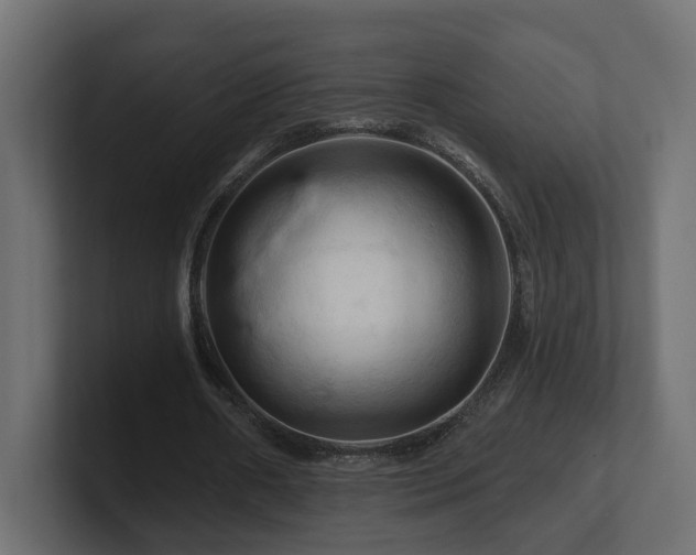 X0000101090482200806261454