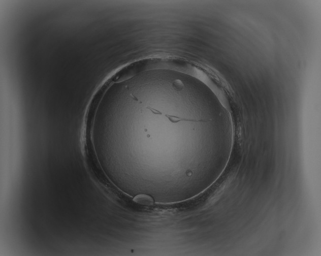 X0000101090484200806261454