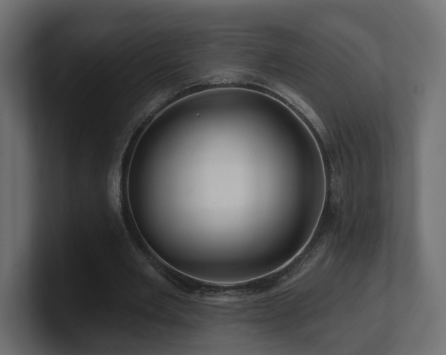 X0000101090485200806261454