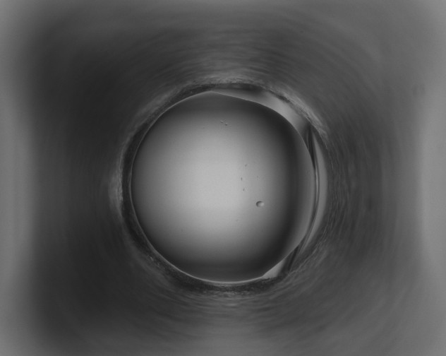 X0000101090486200806261454