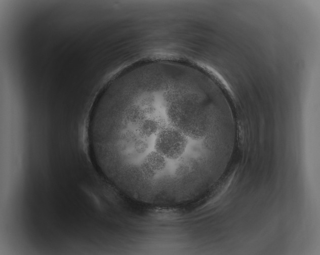 X0000101090487200806261454