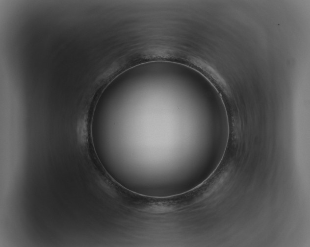 X0000101090489200806261454