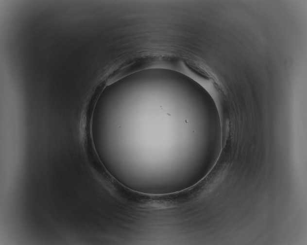 X0000101090490200806261454