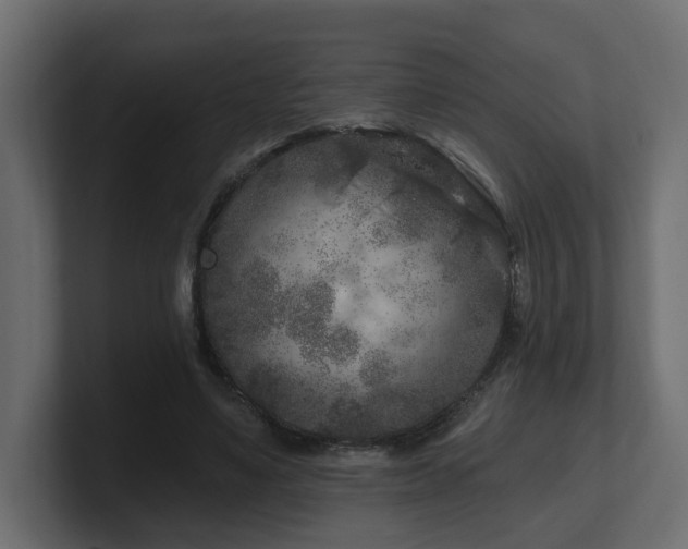 X0000101090491200806261454