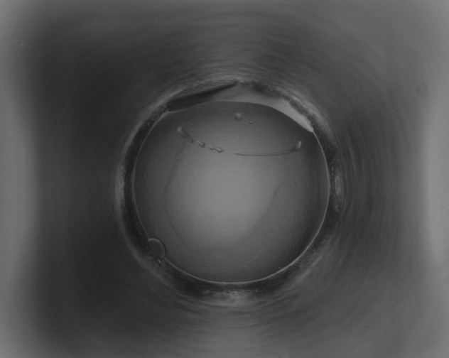 X0000101090492200806261454