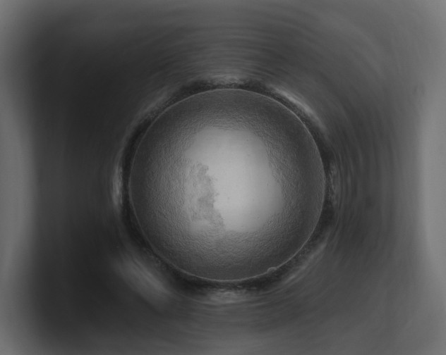 X0000101090494200806261454