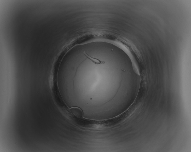 X0000101090496200806261454