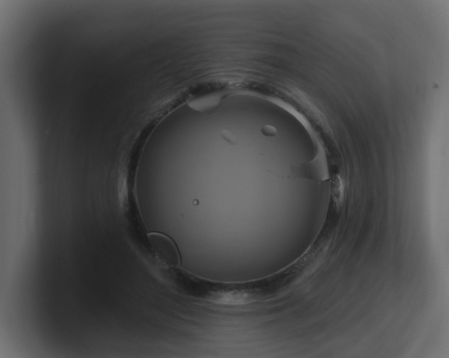 X0000101090500200806261454