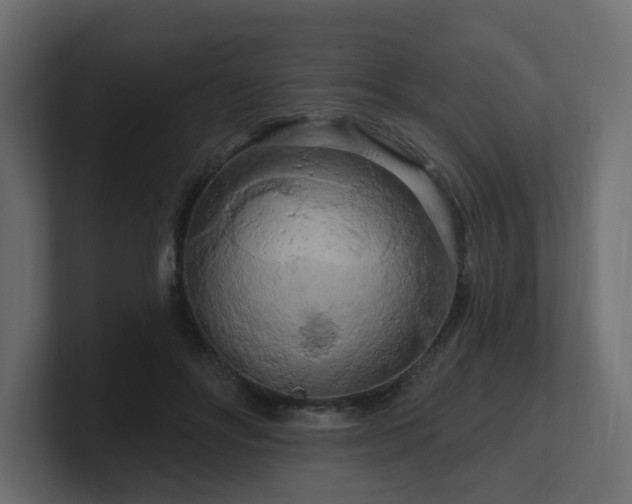 X0000101090502200806261454