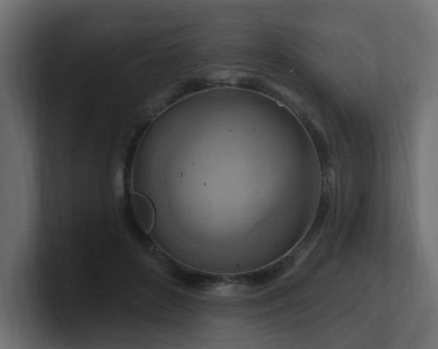 X0000101090504200806261454