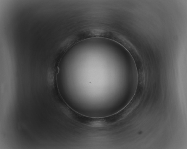 X0000101090505200806261454